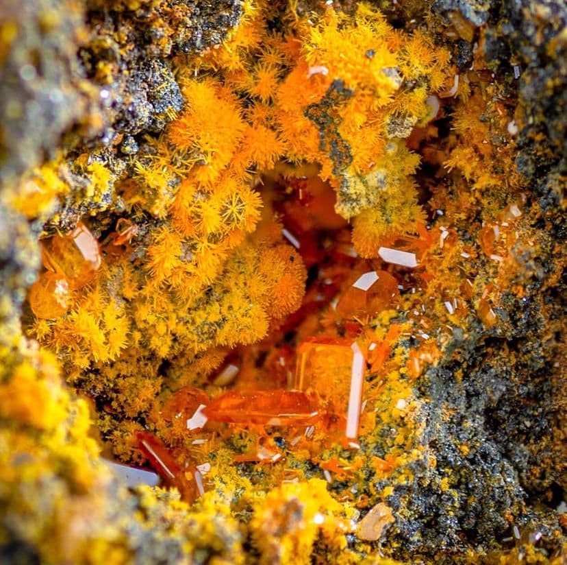 Mineral Hunters — Open Studio de Curaduría de minerales mexicanos.